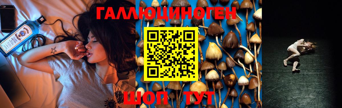 Галлюциногенные грибы Magic Shrooms  Псилоцибиновые грибы GOLDEN TEACHER  Вход с VPN  Верхняя Пышма 